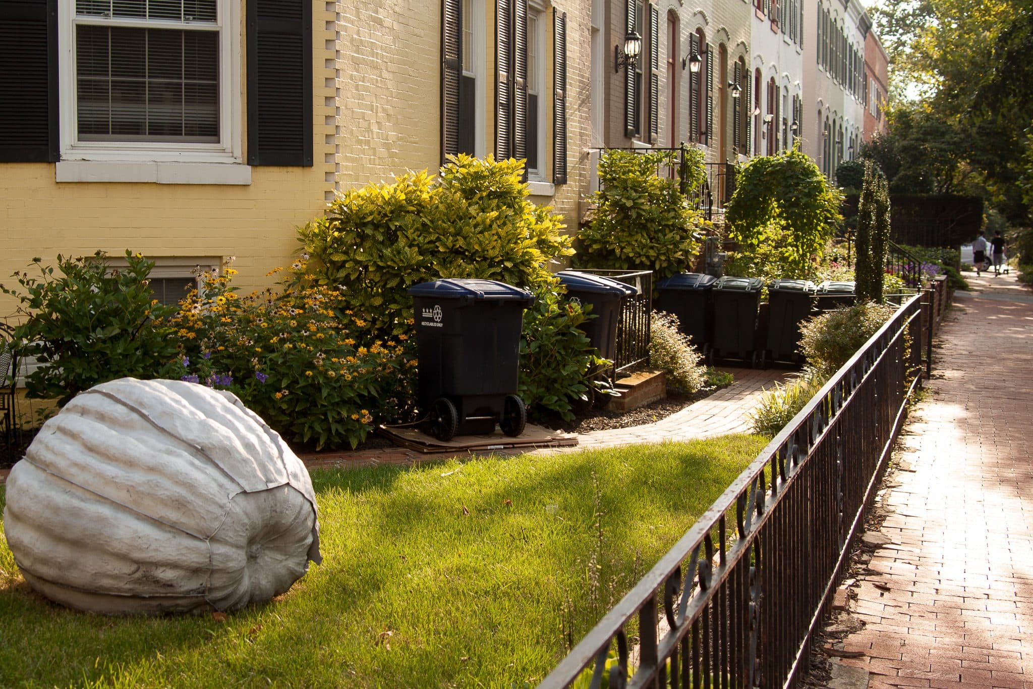 Townhomes with gardens along a quiet street